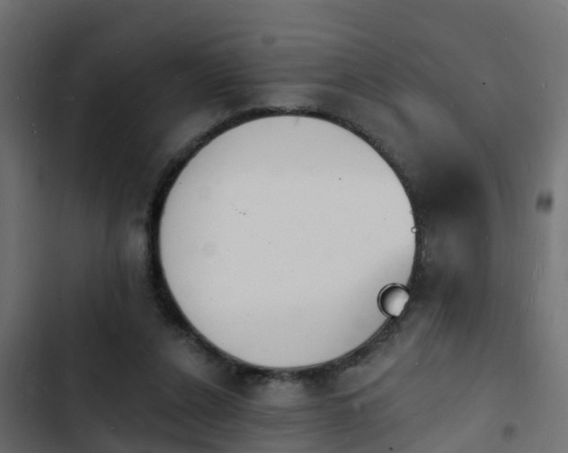 X0000103970256200809261840