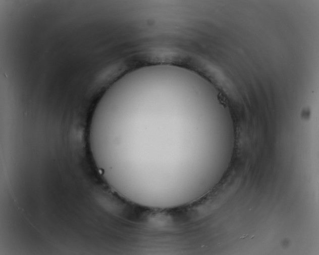 X0000103970258200809261840