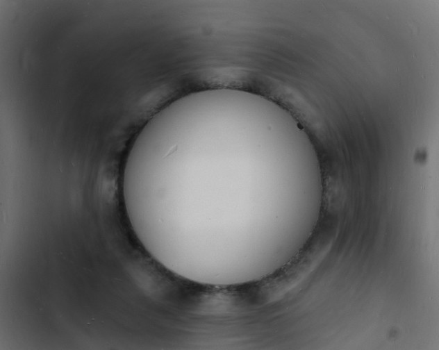 X0000103970259200809261840