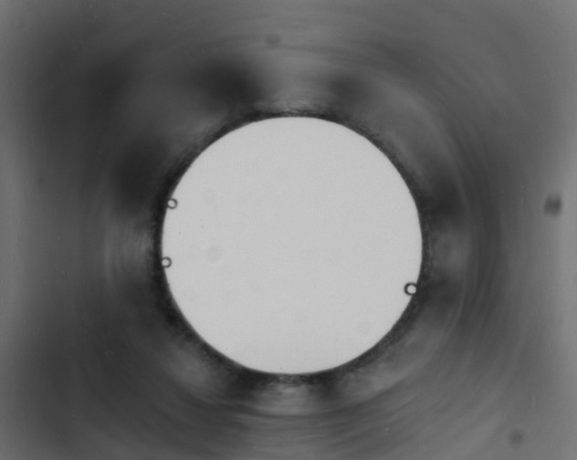 X0000103970260200809261840