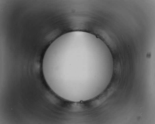 X0000103970261200809261840