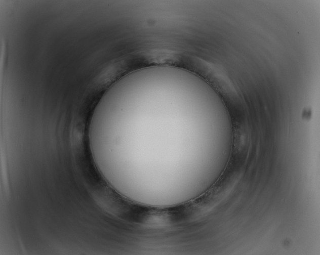 X0000103970263200809261840