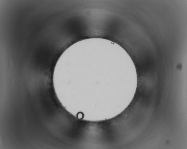 X0000103970264200809261840