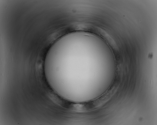 X0000103970265200809261840