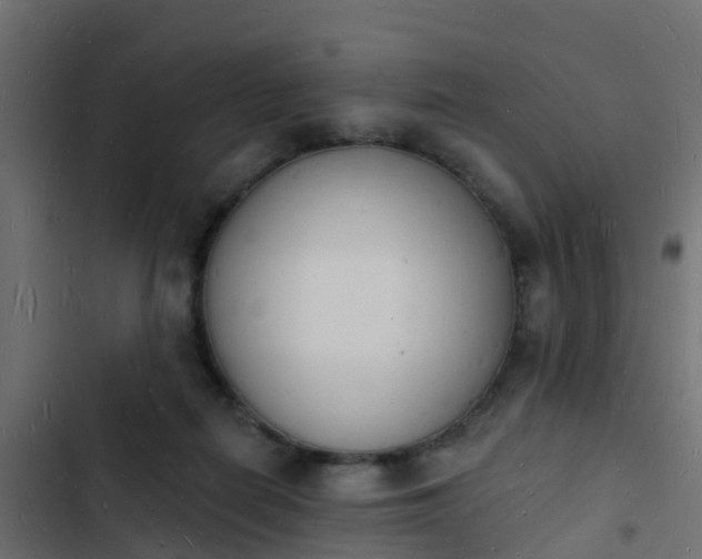 X0000103970266200809261840