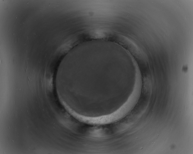 X0000103970267200809261840