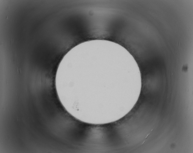 X0000103970268200809261840