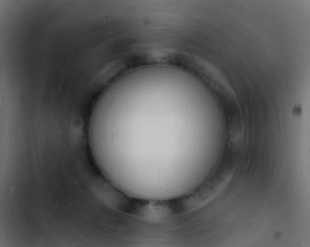 X0000103970270200809261840