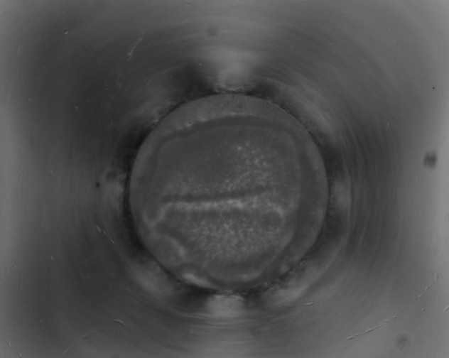 X0000103970271200809261840