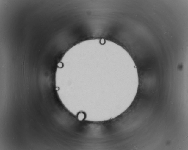 X0000103970272200809261840