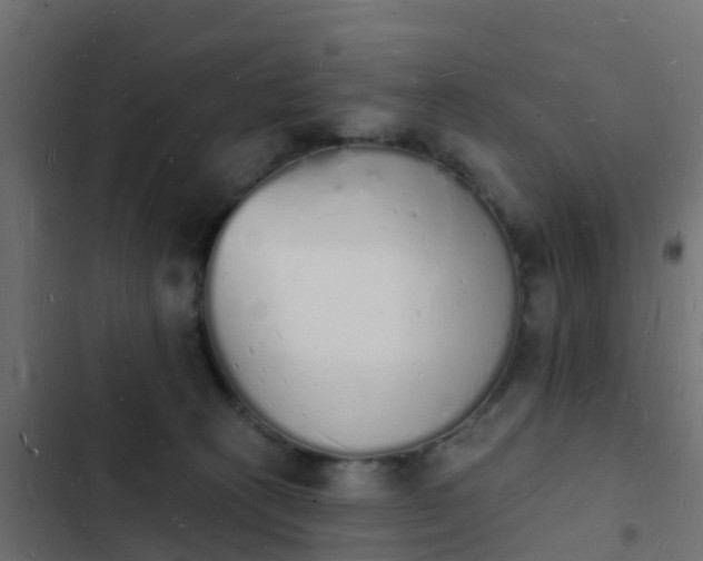 X0000103970273200809261840