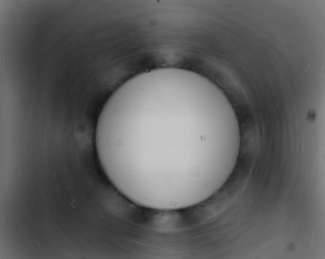 X0000103970274200809261840