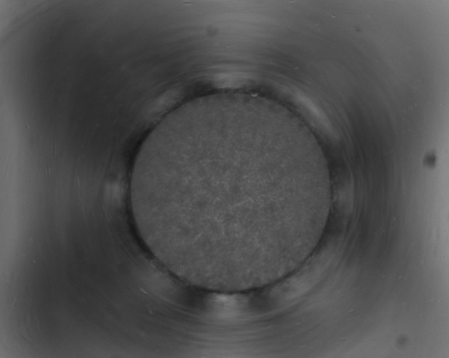 X0000103970277200809261840