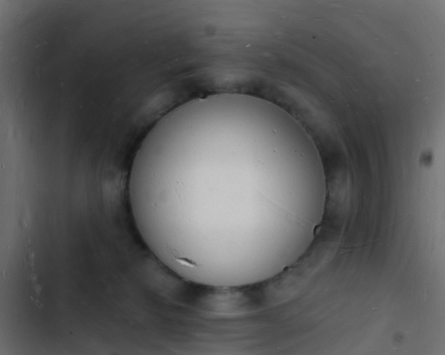 X0000103970278200809261840