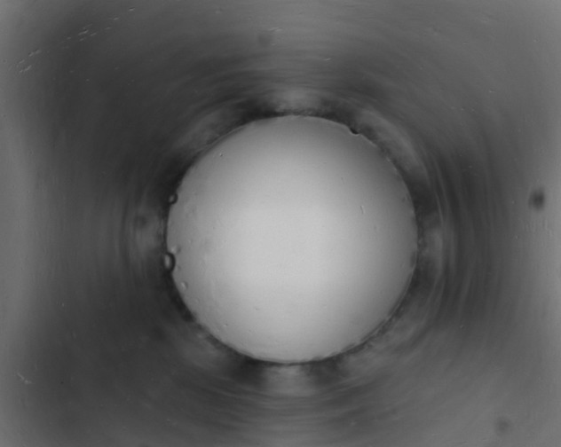 X0000103970281200809261840