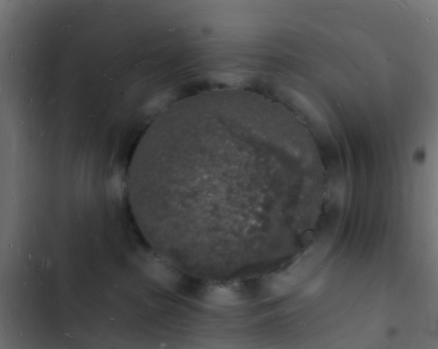 X0000103970285200809261840