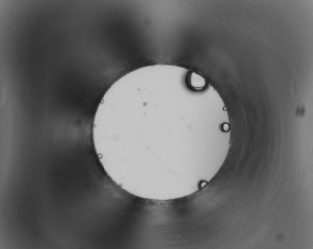 X0000103970288200809261840