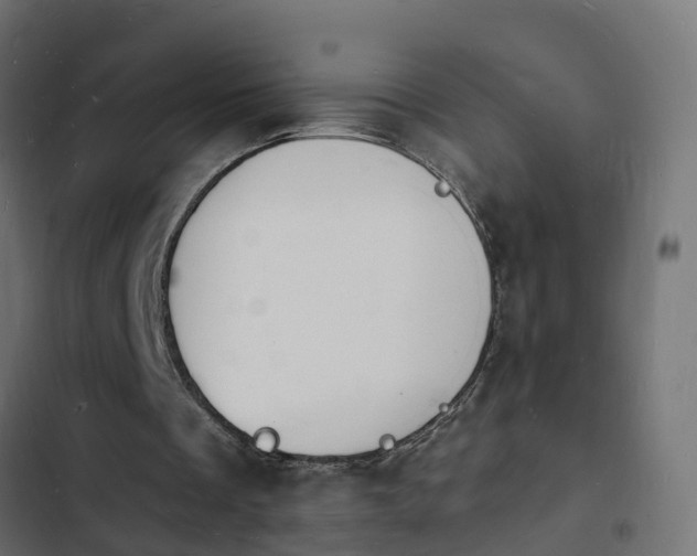 X0000103970289200809261840