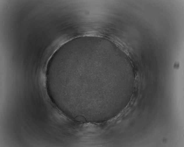 X0000103970290200809261840