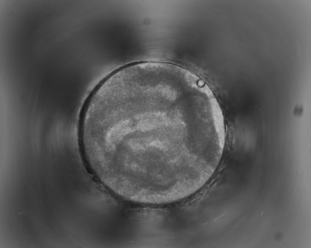 X0000103970292200809261840