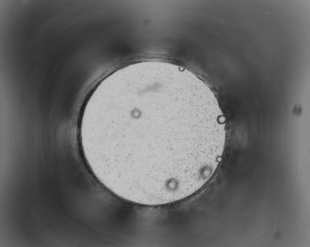 X0000103970293200809261840