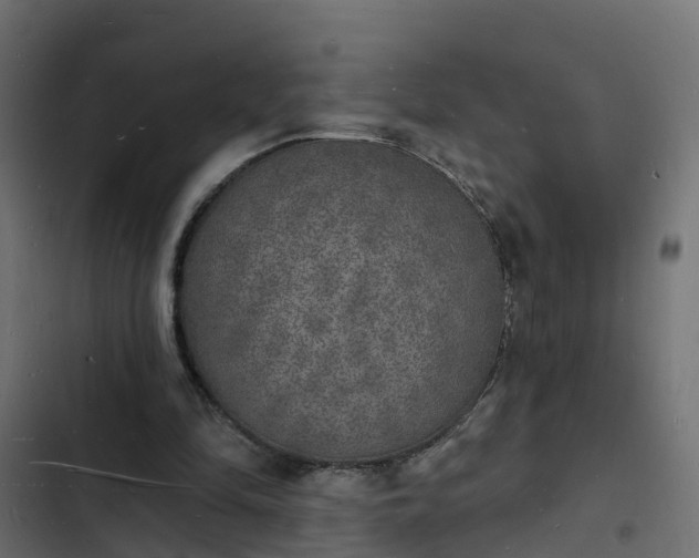 X0000103970294200809261840