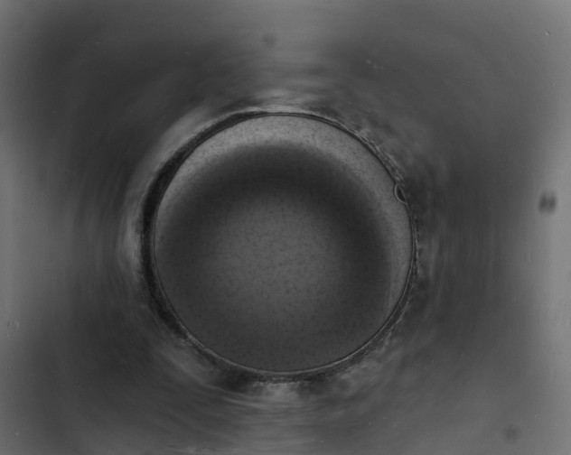 X0000103970295200809261840