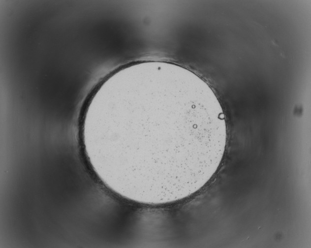 X0000103970296200809261840