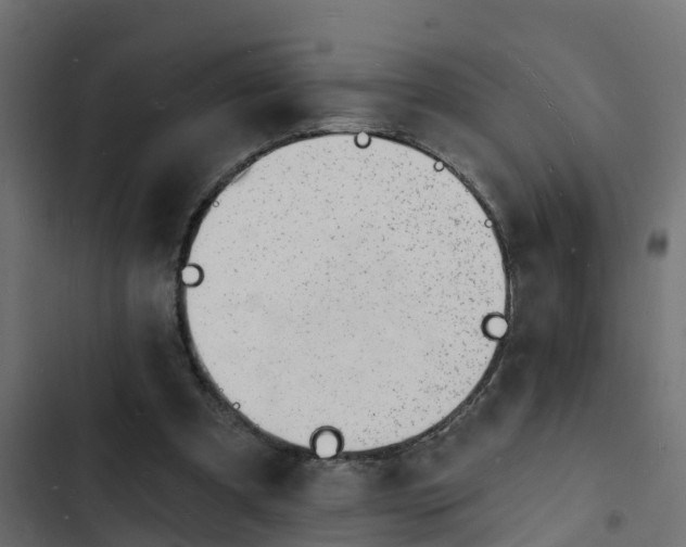 X0000103970297200809261840