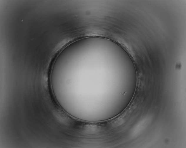 X0000103970298200809261840