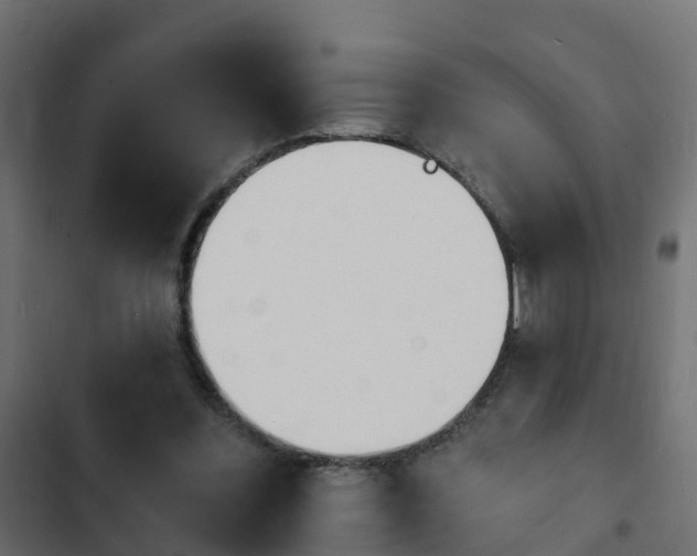 X0000103970300200809261840