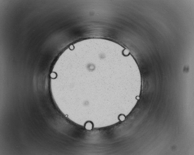 X0000103970301200809261840