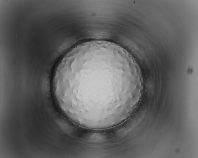 X0000103970303200809261840