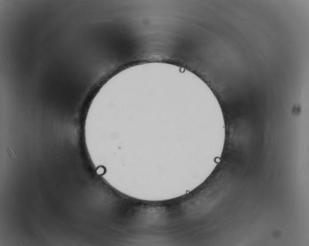 X0000103970304200809261840