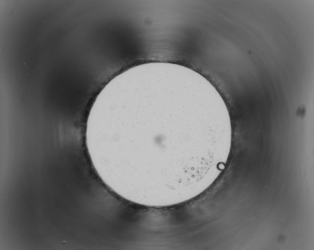 X0000103970305200809261840