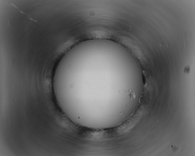 X0000103970306200809261840