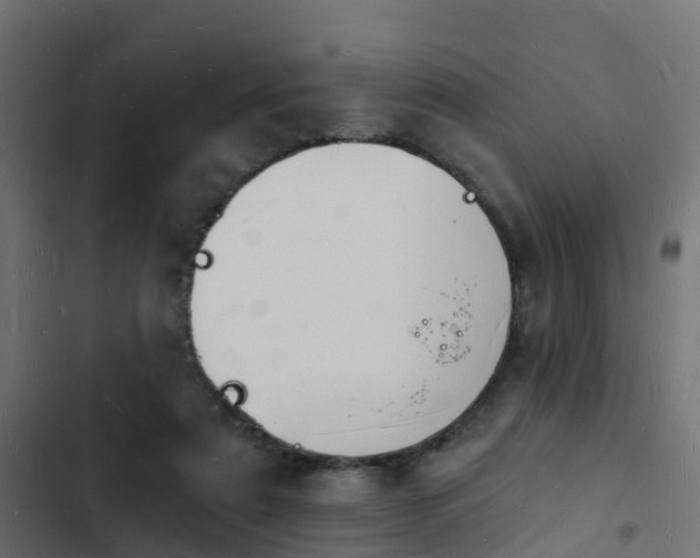 X0000103970307200809261840