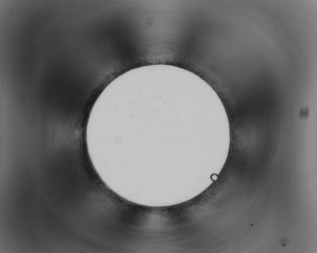 X0000103970308200809261840