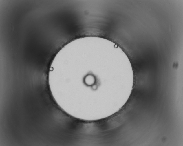 X0000103970309200809261840