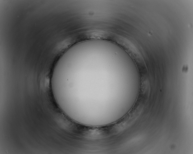 X0000103970310200809261840