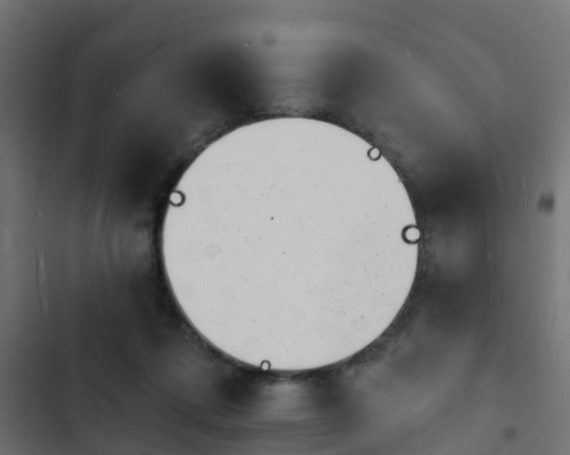 X0000103970312200809261839