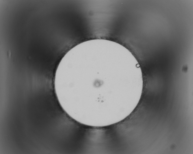 X0000103970313200809261839