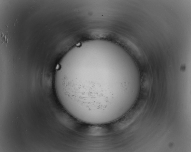 X0000103970315200809261839