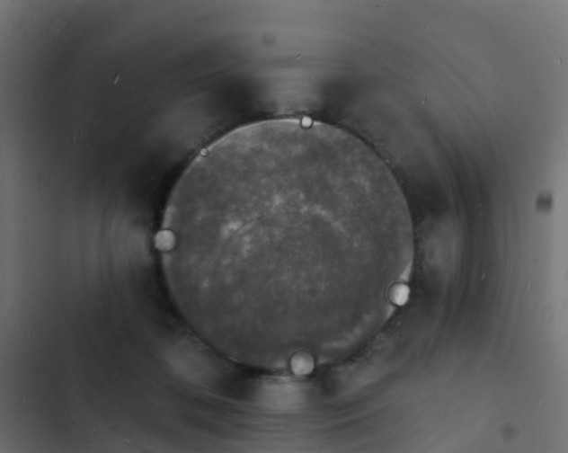 X0000103970316200809261839