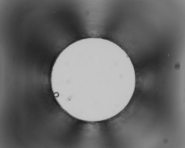 X0000103970317200809261839