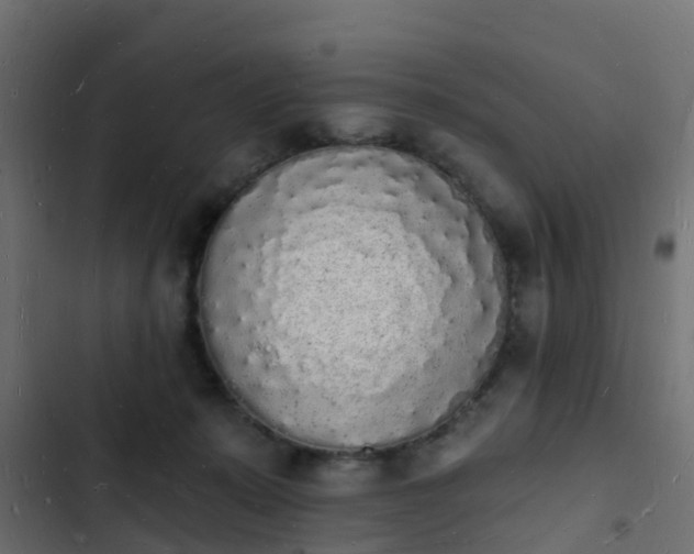 X0000103970319200809261839