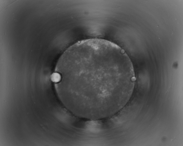 X0000103970320200809261839