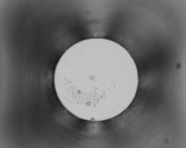 X0000103970321200809261839