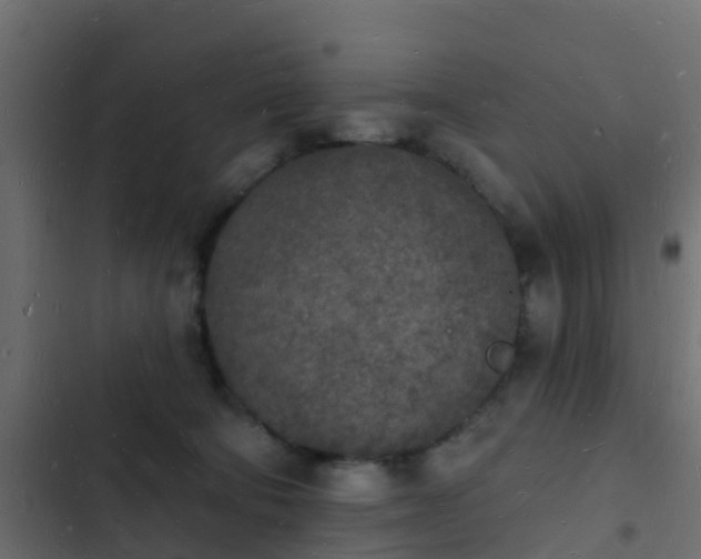 X0000103970322200809261839