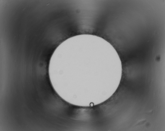 X0000103970323200809261839